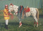 fireman_and_dalmatian.jpg