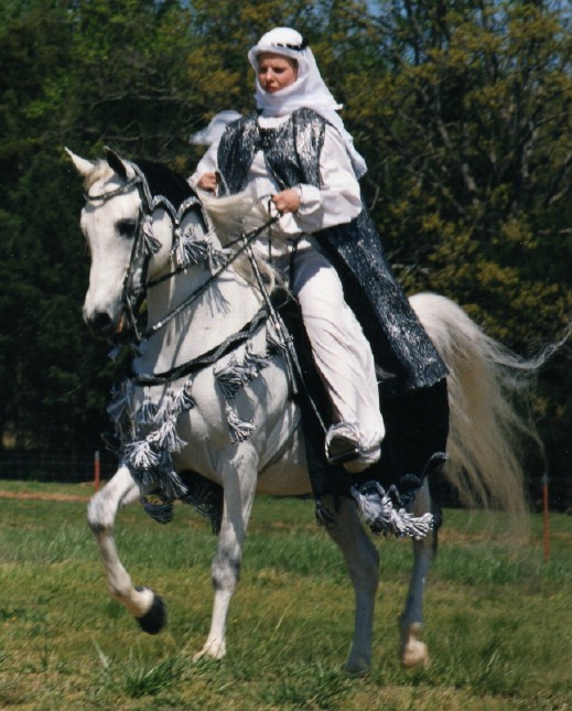 masada_sarah_costume.jpg