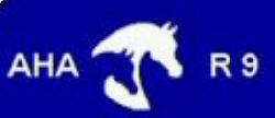 region_9_logo.jpg